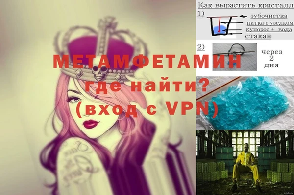 прущие крисы Калининец